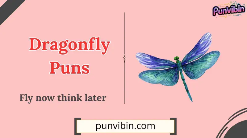 Dragonfly Puns